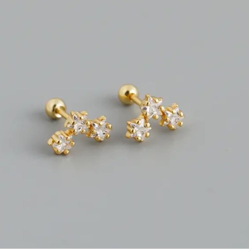 NWOT earrings